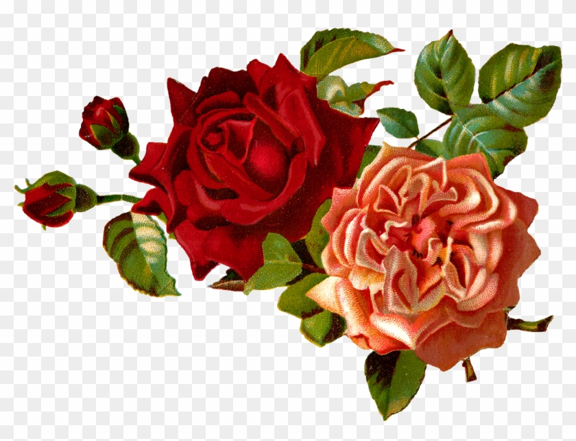 Stock Rose Clipart - Vintage Red Flower Png #41638