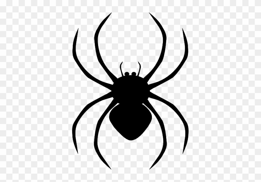 Spider Black And White Spider Clipart Black And White - Spiders Clipart Png #41673