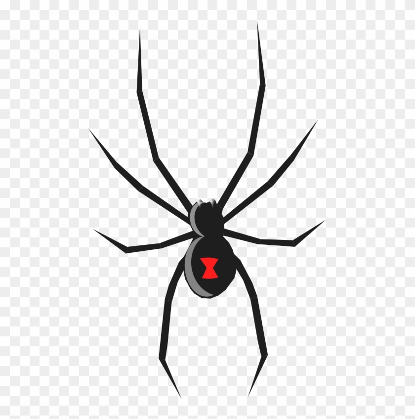 Related Clip Art - Black Widow Spider Drawing #41674