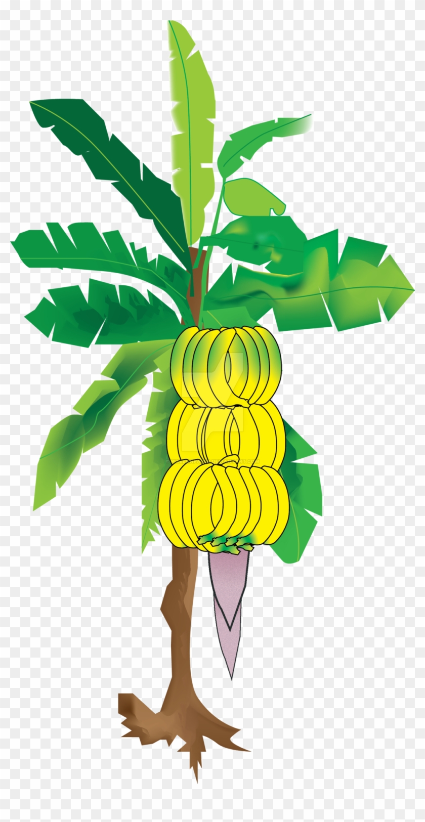 Bananatree Illuatration By Pixelonpaper - Banana Tree Hd Imajes #41746