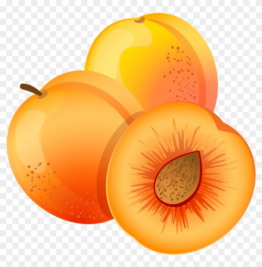 Apricot Clipart #41783