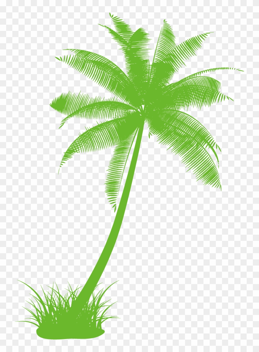 Arecaceae Drawing Tree Black And White Clip Art - Palm Tree Clip Art #41898