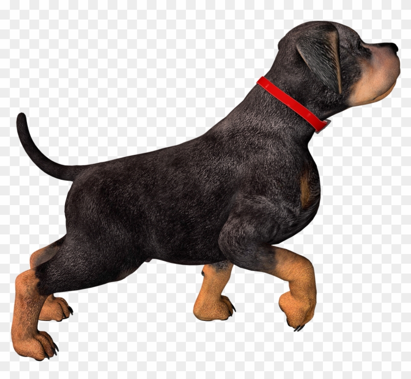 Free High Resolution Graphics And Clip Art - Dog Png Images Hd #41971