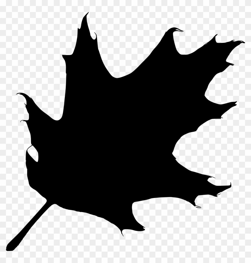 Leaf Clipart Black Oak - Oak Leaf Silhouette Vector #42102