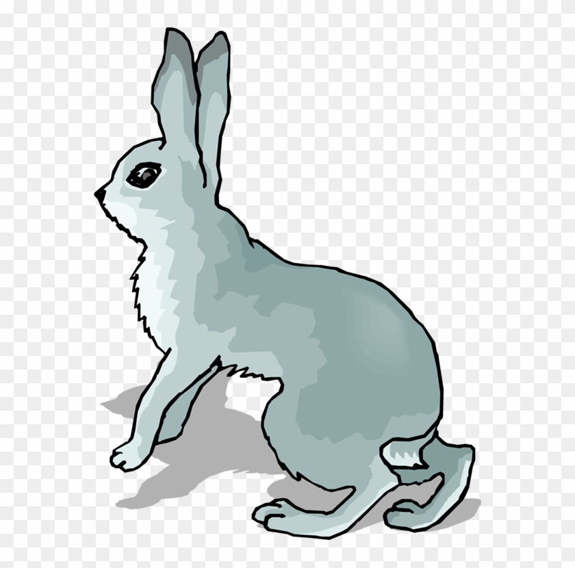 Hare Clip Art - Snowshoe Hare Clipart #42207