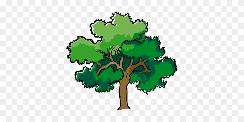 Oak Tree Summer Branches Leaves Trunk Matu - Vanadeviyin Mainthargal #42369