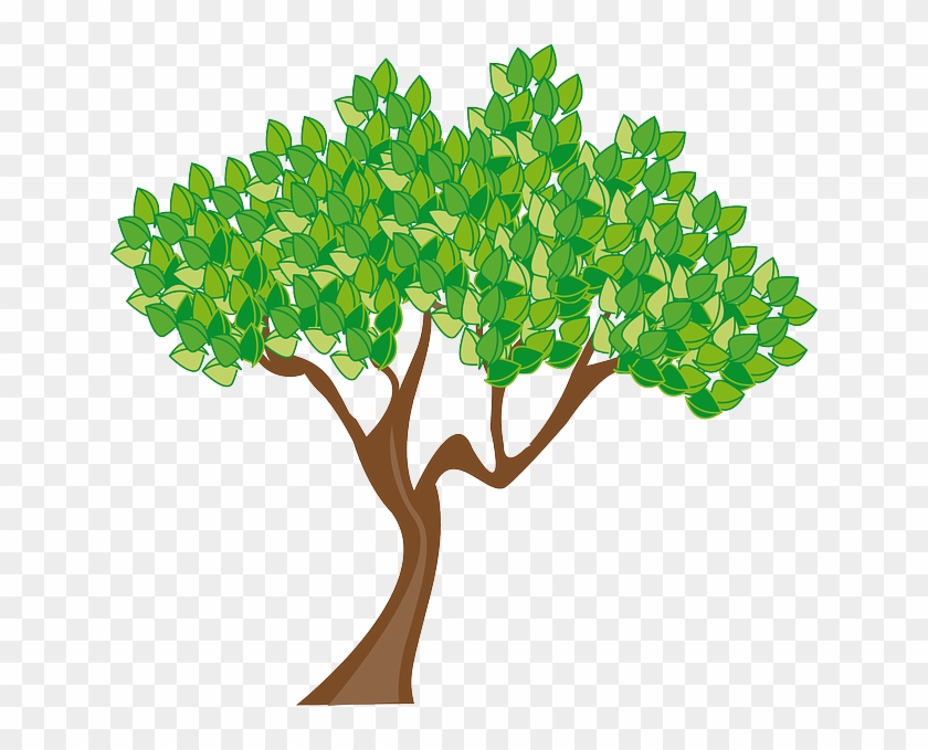 Season Summer Tree Leaves Green Trunk Wood - Spring Trees Clip Art #42403