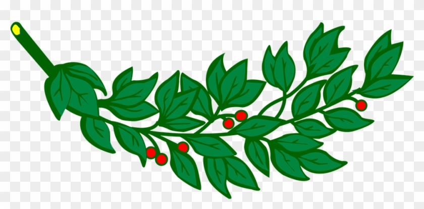 Branch, Laurel, Leaf, Leafy, Leaves - Branch Of Laurel #42478