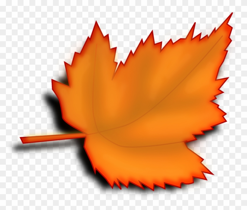 Maple, Autumn, Fall, Leaf, Orange - Leaf Clipart No Background #42589