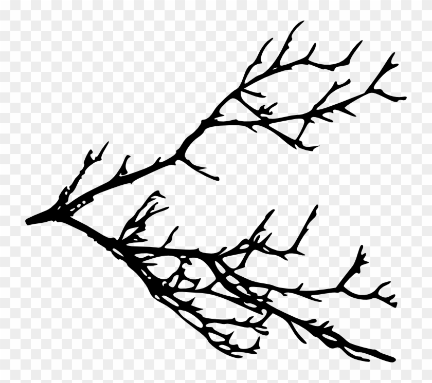 Tree Branches Clipart - Tree Branches Silhouette #42655
