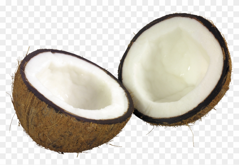 Coconut Png Image - Coconut Png #42714
