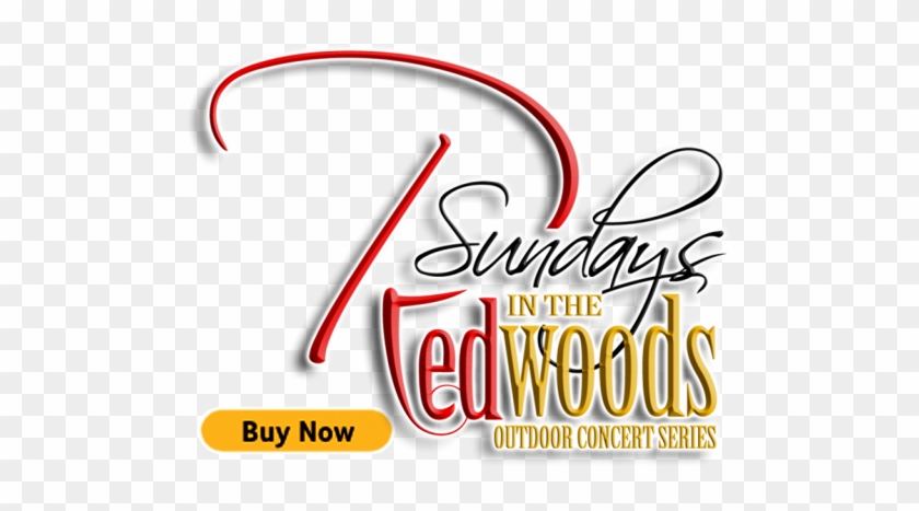 Sundays In The Redwoods Is Coming Soon - Sundays In The Redwoods Is Coming Soon #42746