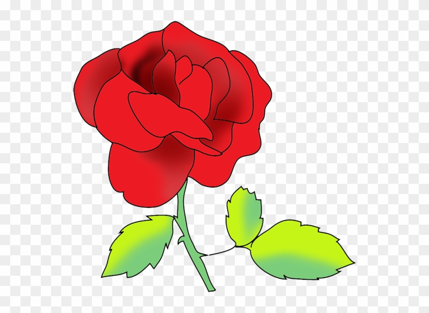 Flower Image Gallery Red Rose - Portable Network Graphics #42895