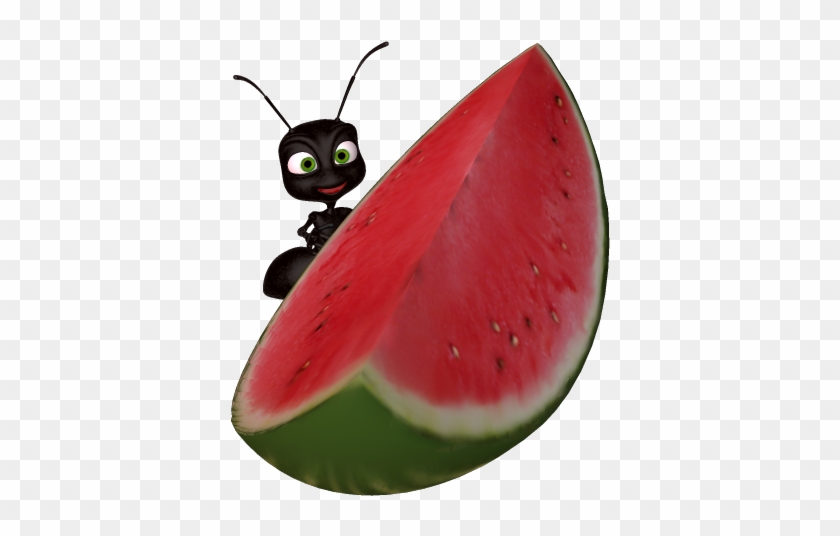 Watermelon Clip Art - Clip Art #42923