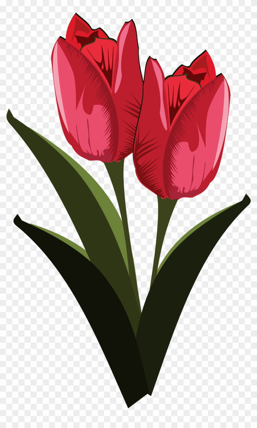 Tulip Free To Use Clip Art - Public Domain Free Clip Art Flowers #43385