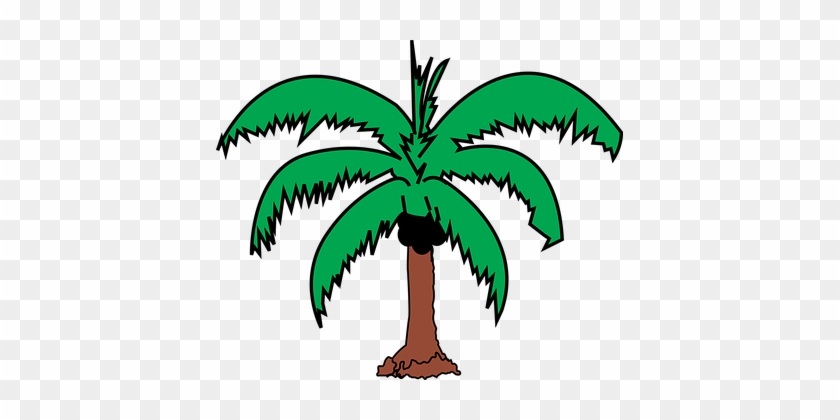 Coconut Palm Plant Tree Coconut Coconut Co - Coconut Tree Leaves Clip Art #43424