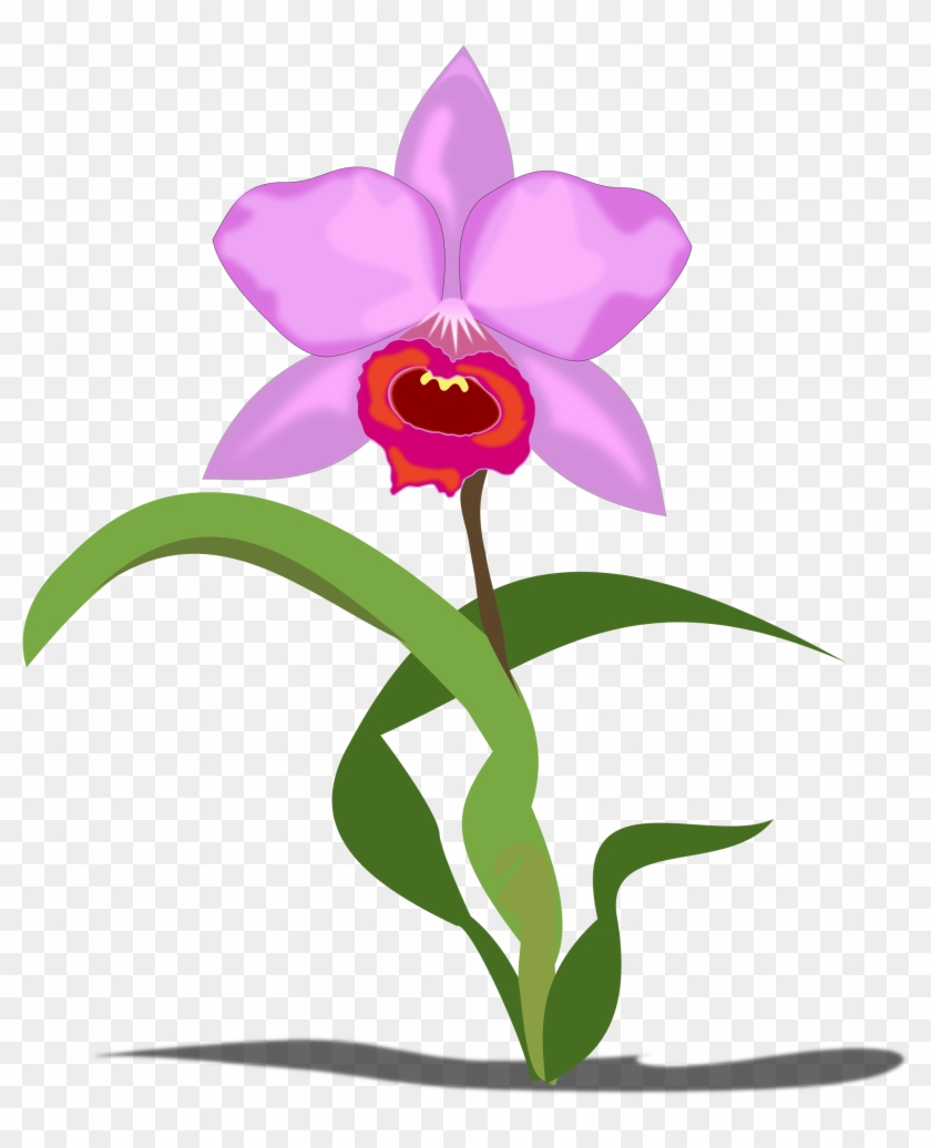 Orchid Clipart Free Download Clip Art On Png - Orchid Clip Art #43538