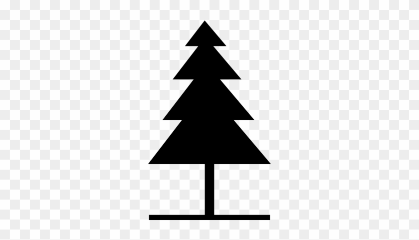 Pine Tree Shape For Xmas Vector - 漁 農 自然 護理 署 #43592