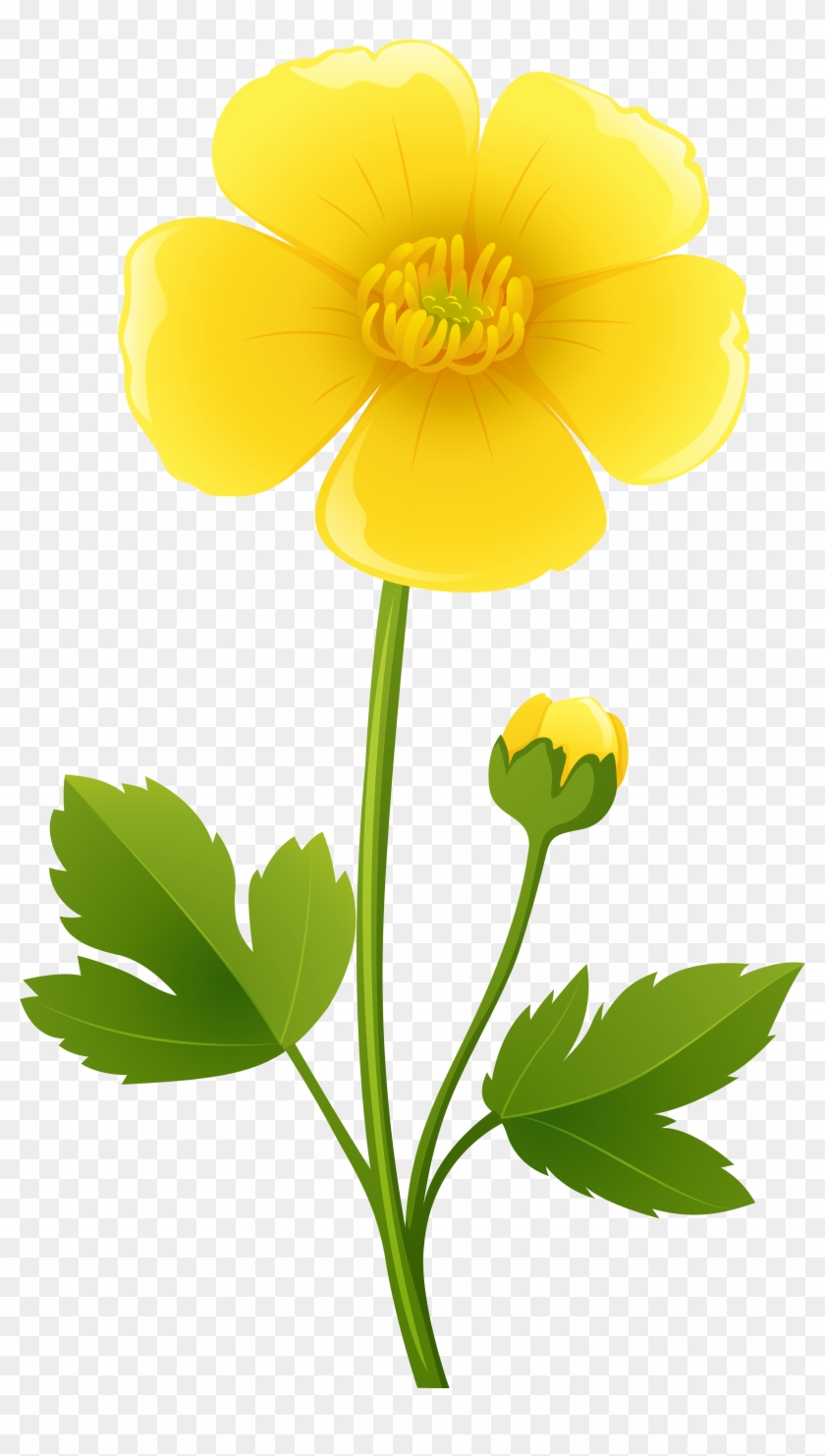 Yellow Flower Transparent Png Clip Art Image - Yellow Flower Transparent Clipart #43642