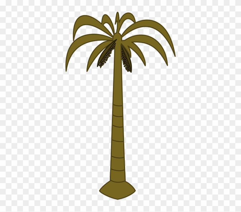 Palm Tree Palm Tropical Black Silhouette Tree - Palm Tree Clip Art #43864