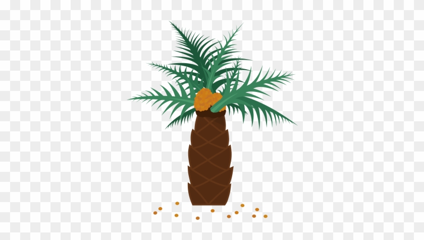 Illustration Of A Palm Tree - Oil Palms #43884