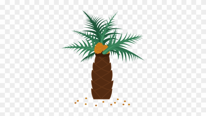 Illustration Of A Palm Tree - Oil Palms #43884