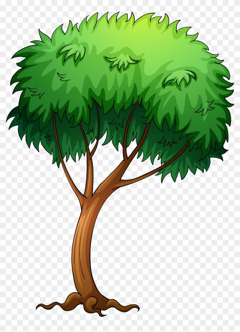 0, - Tree Clip Art Png #43944