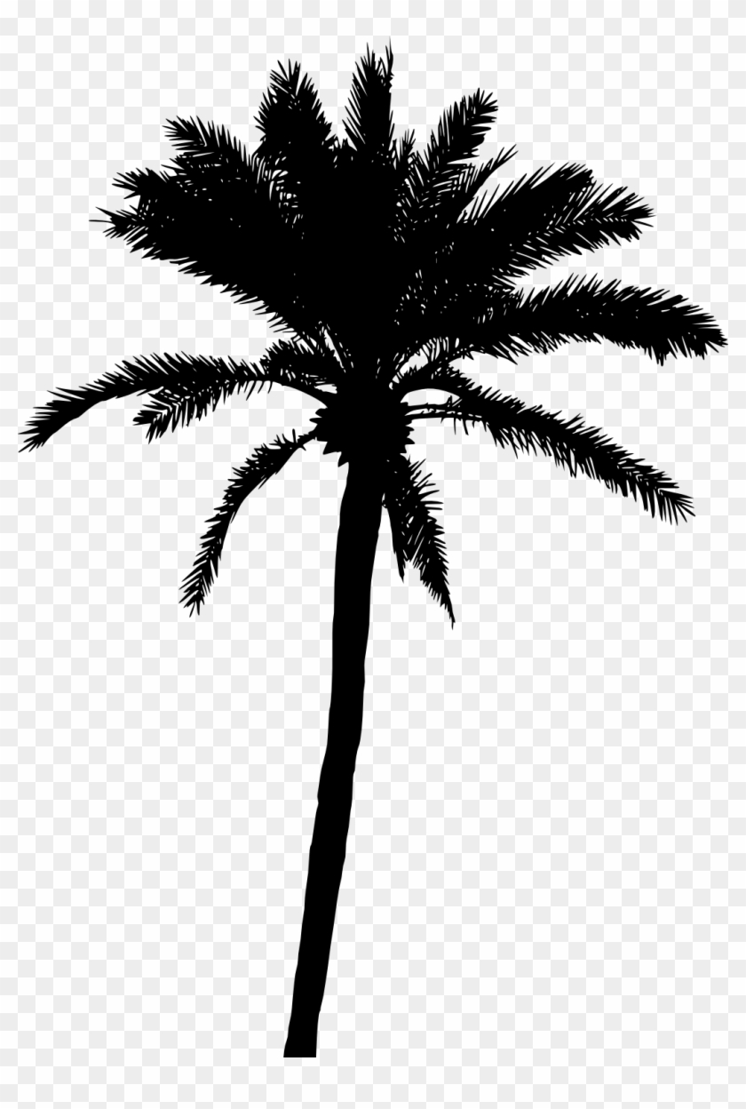20 Palm Tree Silhouette Vol - Black Palm Tree Png #43983