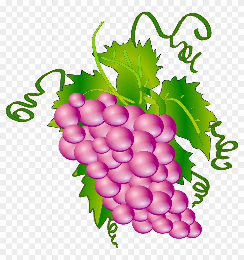 Wine Grapes Clipart - Grapes Tree Clip Art #44000