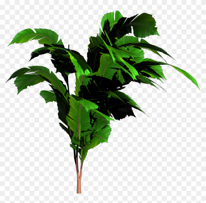 Jungle Tree Png Transparent Image - Jungle Tree Png #44038