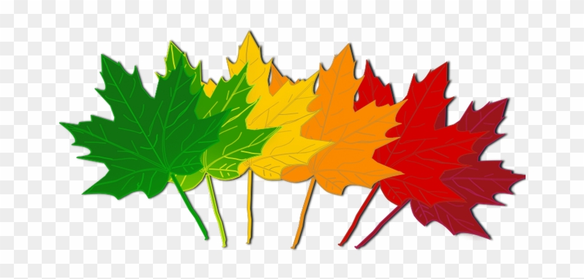 Fall Leaves Clip Art - September Writing #44091