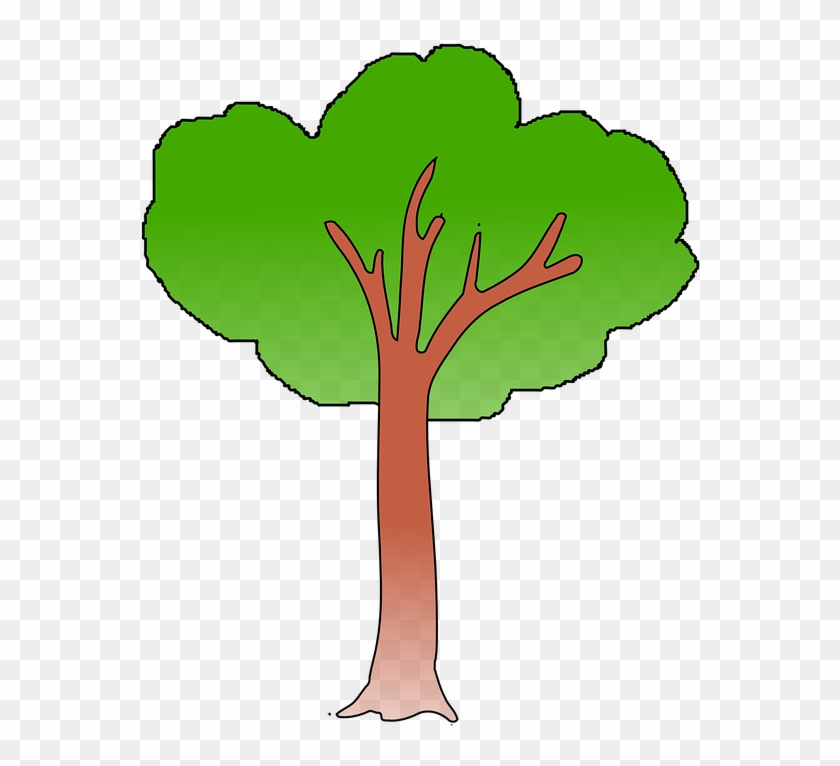 Trunk Tree, Green, Trunk - Imagen De Un Arbol Verde #44095