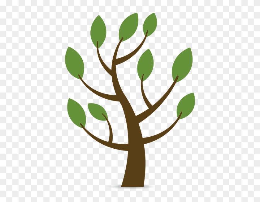 So Far We've Planted 7,200 Trees - Arvore Genealogica Png #44146