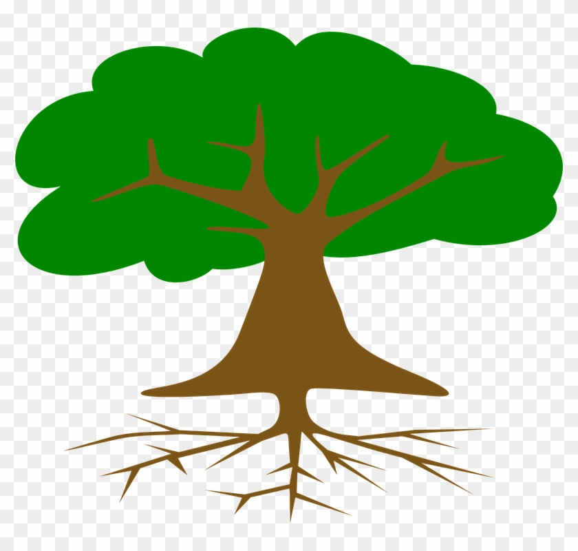 Arbol Con Raices Dibujo - Free Transparent PNG Clipart Images Download