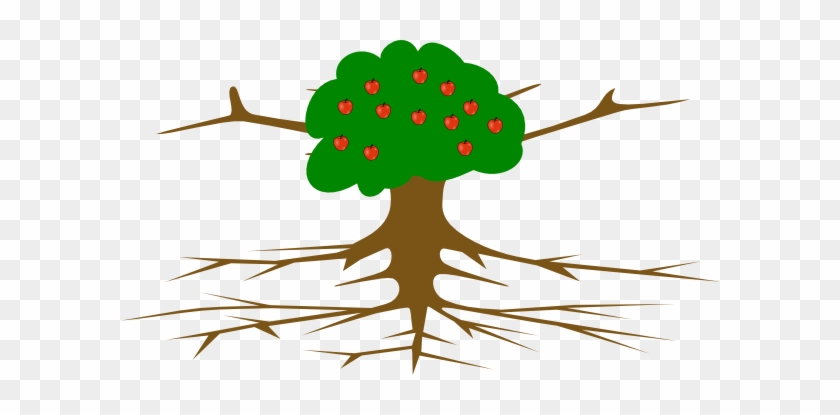 Apple Tree With Wide Trunk Clip Art - Tree With Roots #44248