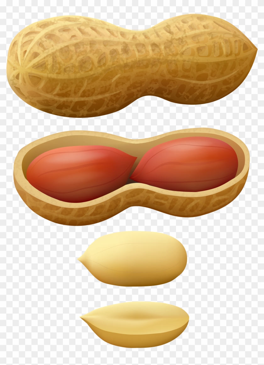 Peanuts Png Clip Art - Peanut Png #44315