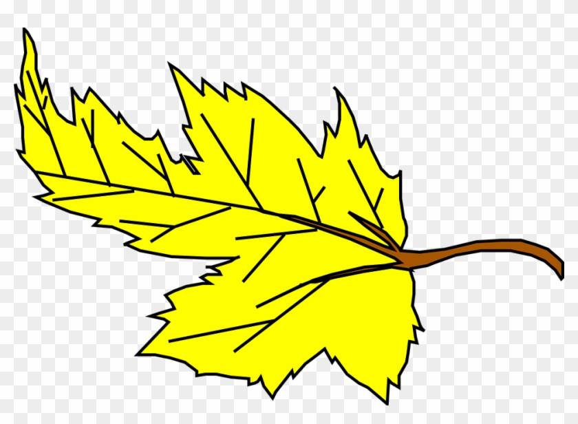 Fall Yellow Leaf Cartoon Plant Falling Leaves Jrekuw - Yellow Leaf Clip Art #44313