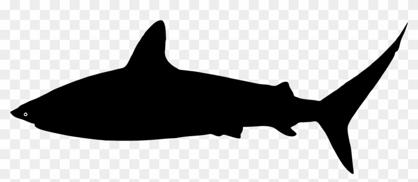 File - Shark Silhouette - Svg - Wikimedia Commons - Silhouette Of A Shark #241133