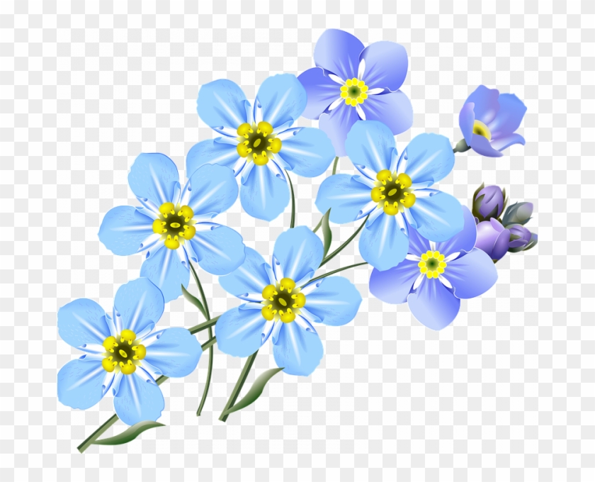 Forget Me Not Clip Art Free Drawing Forget Me Nots - Forget Me Not Flower Drawing #241140