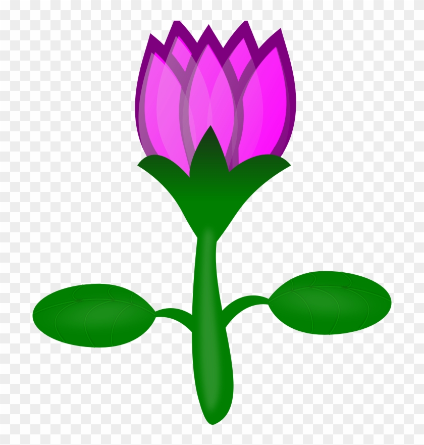 Nelumbo Nucifera Drawing Computer Icons Clip Art - Nelumbo Nucifera Drawing Computer Icons Clip Art #241159