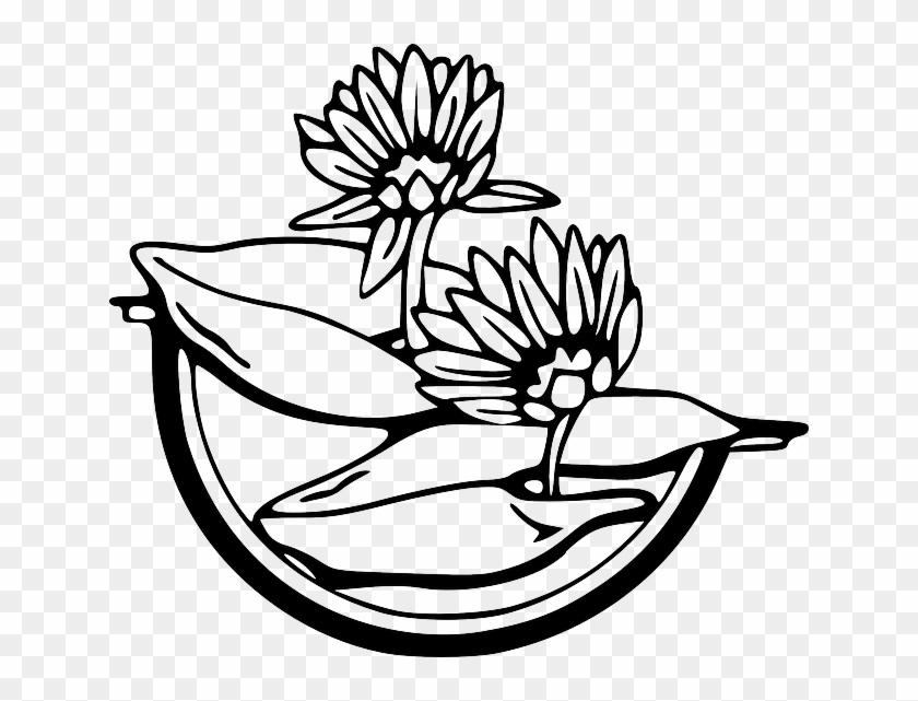 Water, Outline, Drawing, Flower, Flowers, Cartoon - Water Lily Clip Art #241162