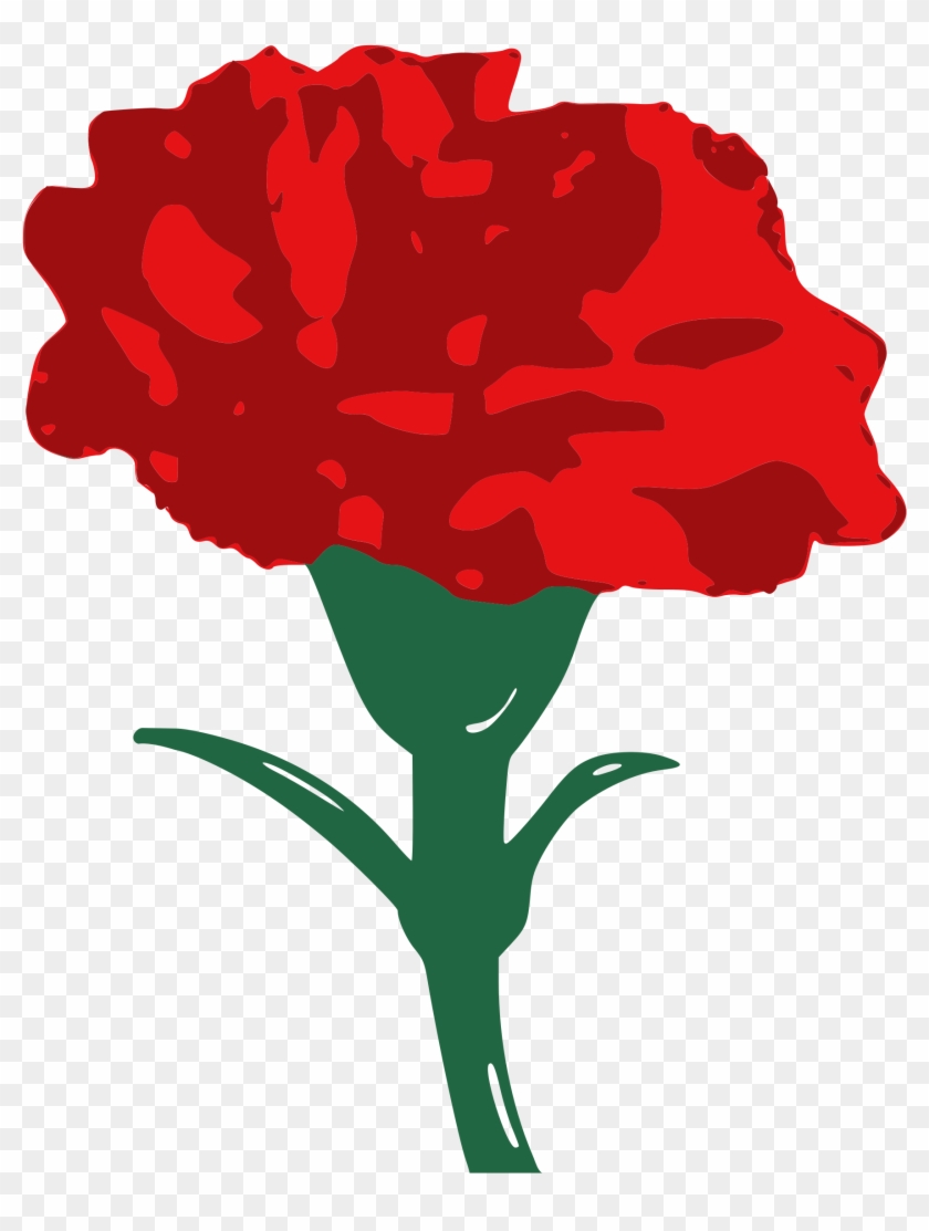 Carnation Family Clipart - Carnation Clipart #241182