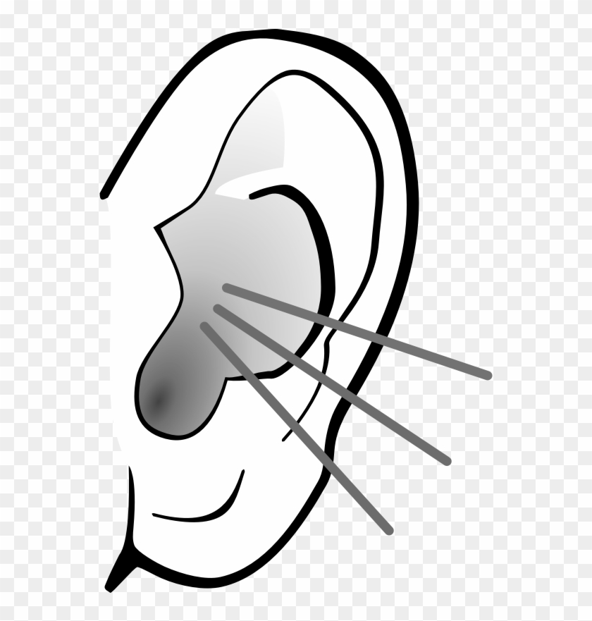 Clipart - Listening Ear - Listen Clipart Black And White #241363