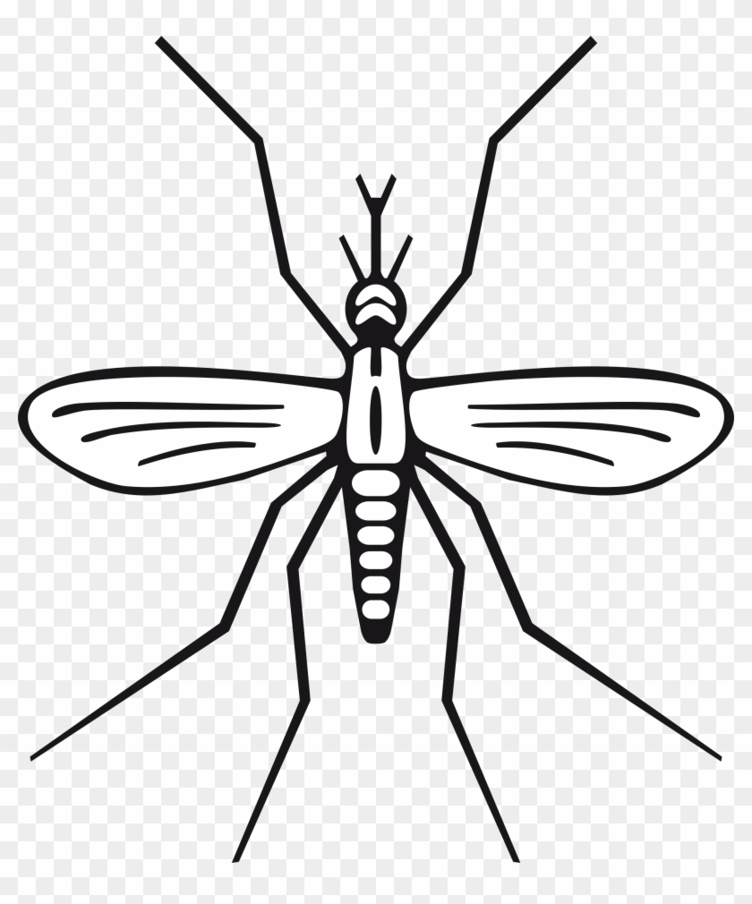 Clipart - Mosquito Clip Art #241744