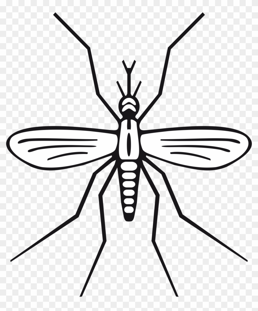 Clipart - Mosquito Clip Art #241744
