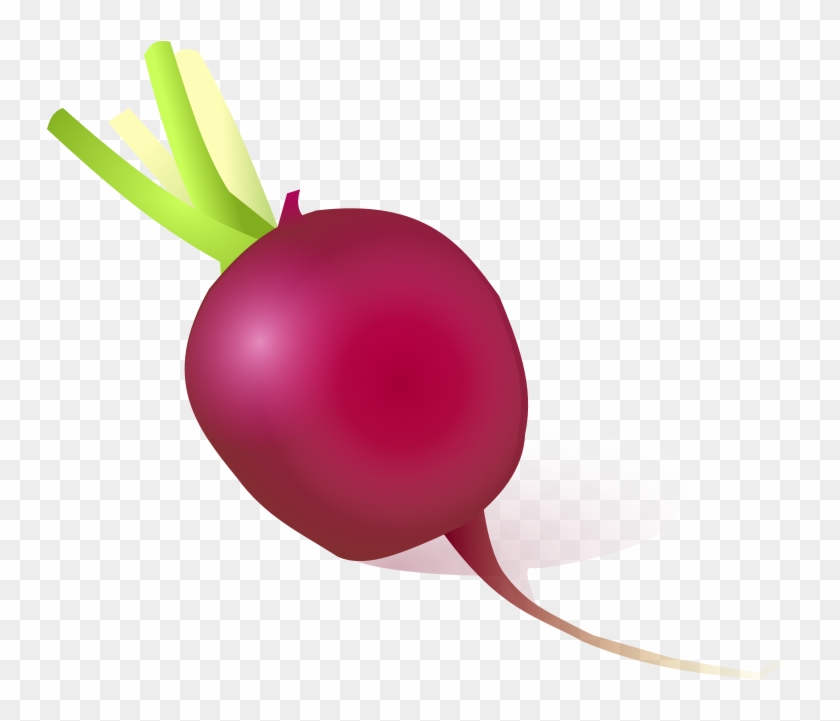 Radishes 2 Clip Art Download - Cartoon Radish #241804