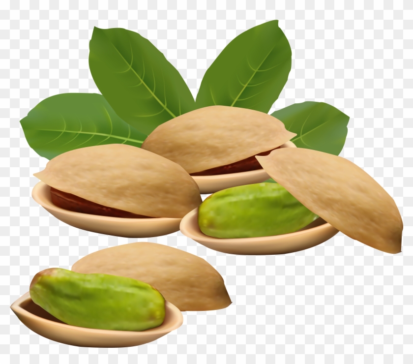 Pistachio - Pistachio Clipart #241824