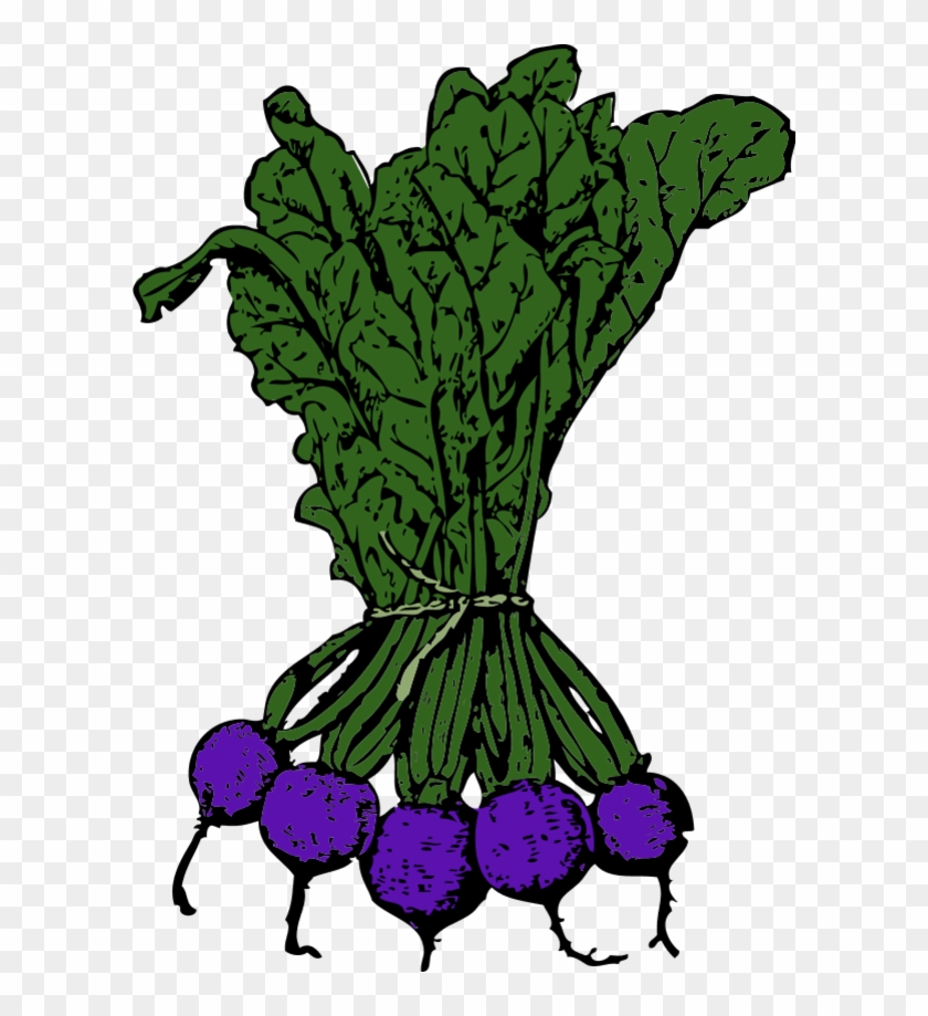 Vector Clip Art - Beets Clip Art #241829