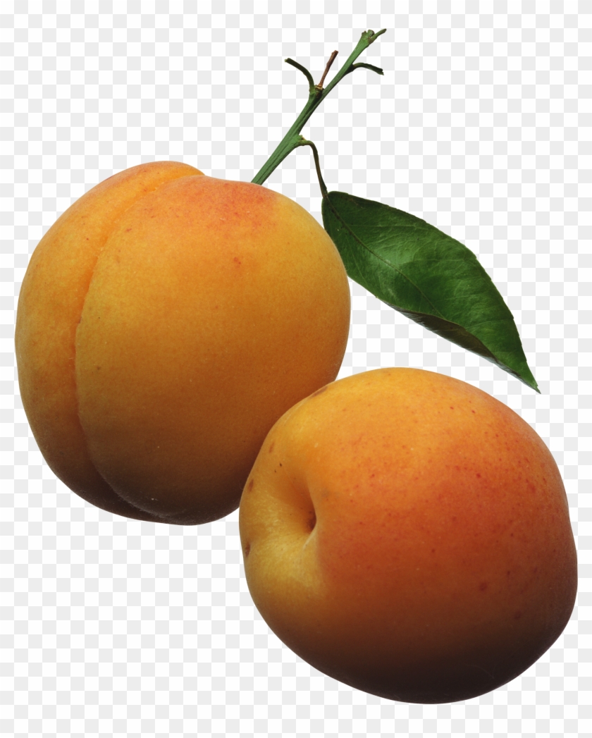 Apricots Png Clipart Picture - Peach With Clear Background #241856