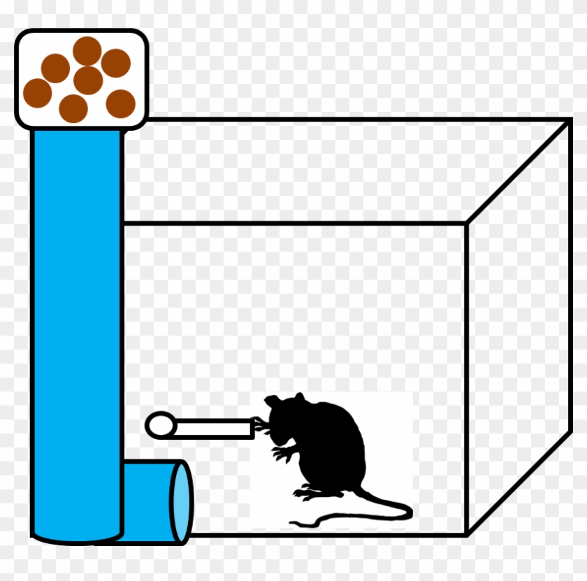 Skinner's Box Was An Early Example Of Classical Conditioning - Skinner Box Transparent #241931